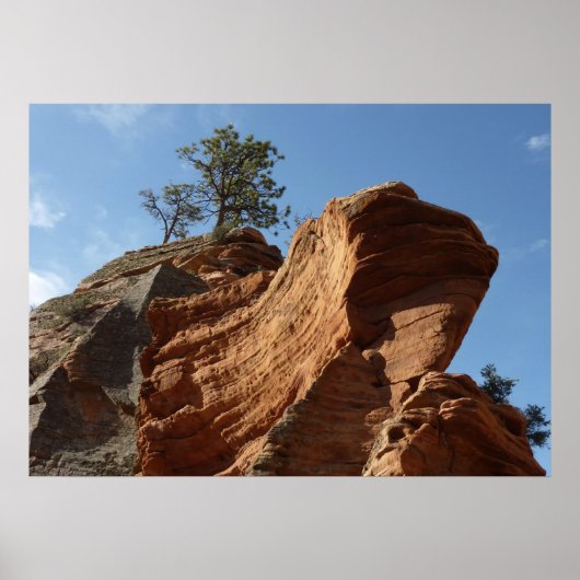 Tot Angels die landt in Zion National Park Poster (Voorkant)