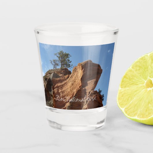 Tot Angels die landt in Zion National Park Shot Glas (Voorkant)