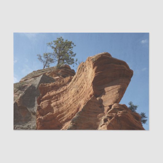 Tot Angels die landt in Zion National Park Tissuepapier (Voorkant)