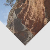 Tot Angels die landt in Zion National Park Tissuepapier (Detail)