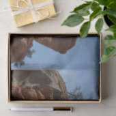 Tot Angels die landt in Zion National Park Tissuepapier (Geschenk)