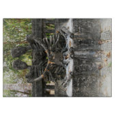 Tot de dood ons deelgenoot maakt ... Nong Khai, Th Snijplank (Voorkant)