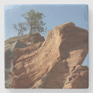 Tot de engelenlanding in Zion National Park Stenen Onderzetter
