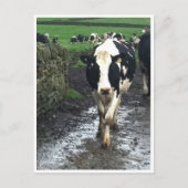 Tot de koeien thuis komen briefkaart (Voorkant)