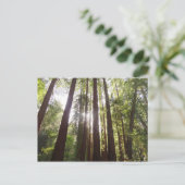 Tot de rode bomen in de ochtend briefkaart (Staand voorkant)