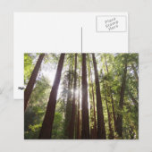 Tot de rode bomen in de ochtend briefkaart (Voorkant / Achterkant)