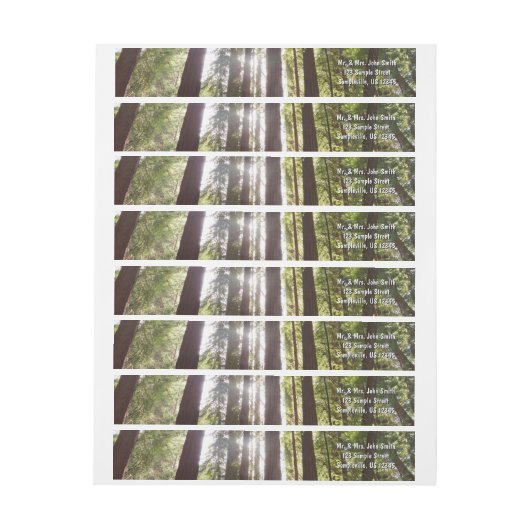 Tot de sequoia's in de ochtend (Vel)