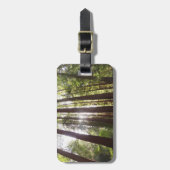 Tot de sequoia's in de ochtend bagagelabel (Voorkant verticaal)