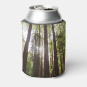 Tot de sequoia's in de ochtend blikjeskoeler (Blikje Achterkant)