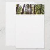 Tot de sequoia's in de ochtend briefpapier (Voorkant / Achterkant)