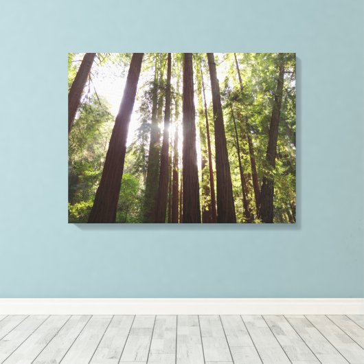 Tot de sequoia's in de ochtend canvas afdruk (Insitu (Houten vloer))