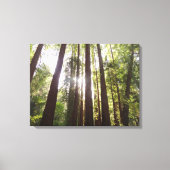Tot de sequoia's in de ochtend canvas afdruk (Voorkant)