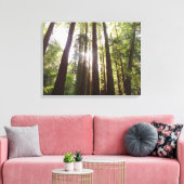 Tot de sequoia's in de ochtend canvas afdruk (Insitu (Woonkamer))