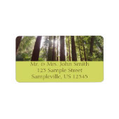 Tot de sequoia's in de ochtend etiket (Voorkant)