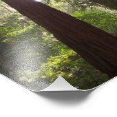 Tot de sequoia's in de ochtend foto afdruk (Hoek)