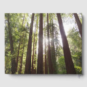 Tot de sequoia's in de ochtend gastenboek (Achterkant)