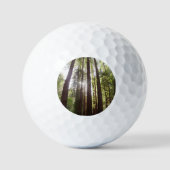 Tot de sequoia's in de ochtend golfballen (Voorkant)