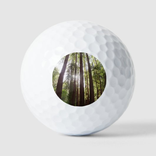 Tot de sequoia's in de ochtend golfballen (Voorkant)
