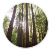 Tot de sequoia's in de ochtend keramische knop (Voorkant)