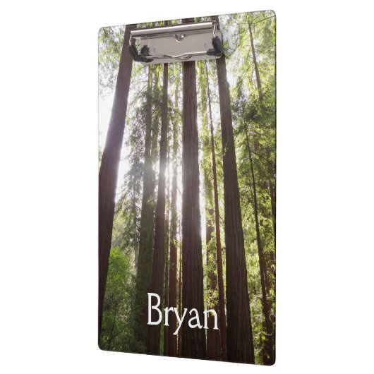 Tot de sequoia's in de ochtend klembord (Links)