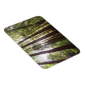 Tot de sequoia's in de ochtend magneet (Rechterzijde)