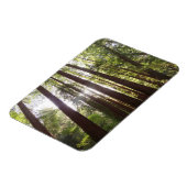 Tot de sequoia's in de ochtend magneet (Linkerzijde)