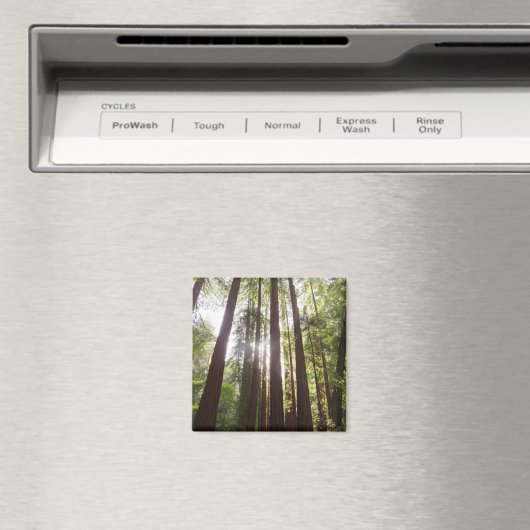 Tot de sequoia's in de ochtend magneet (Insitu (Vaatwasser))