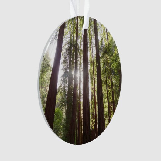 Tot de sequoia's in de ochtend ornament (voorkant)