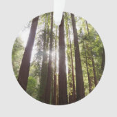 Tot de sequoia's in de ochtend ornament (voorkant)