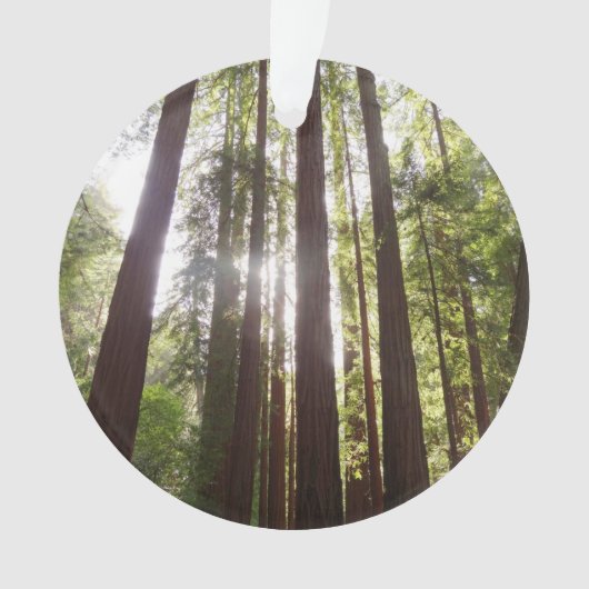 Tot de sequoia's in de ochtend ornament (voorkant)