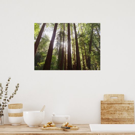 Tot de sequoia's in de ochtend poster (Keuken)