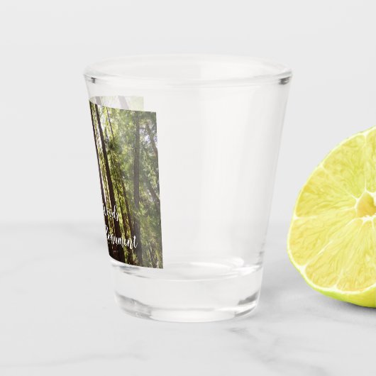 Tot de sequoia's in de ochtend shot glas (Rechts)