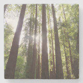 Tot de sequoia's in de ochtend stenen onderzetter (Voorkant)