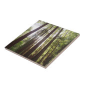 Tot de sequoia's in de ochtend tegeltje (Zijkant)