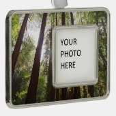 Tot de sequoia's in de ochtend verzilverd omlijst ornament (Rechts)
