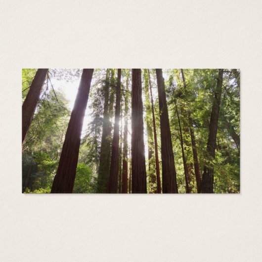 Tot de sequoia's in de ochtend visitekaartje (Achterkant)