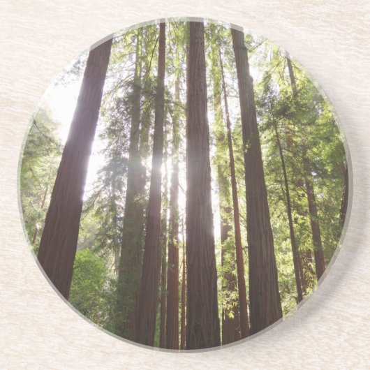 Tot de sequoia's in de ochtend zandsteen onderzetter (Voorkant)