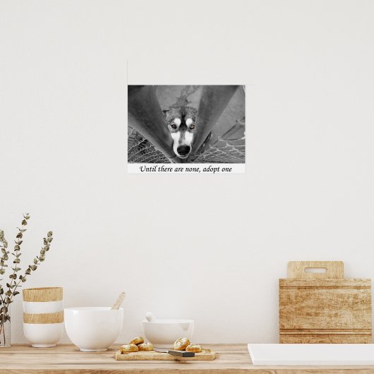 Tot er geen is, neem dan een poster (Keuken)