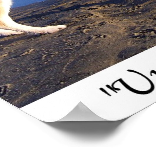 Tot er geen is, neem dan een poster (Hoek)