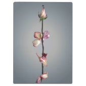 Tot het laatste blad... klembord (Achterkant)