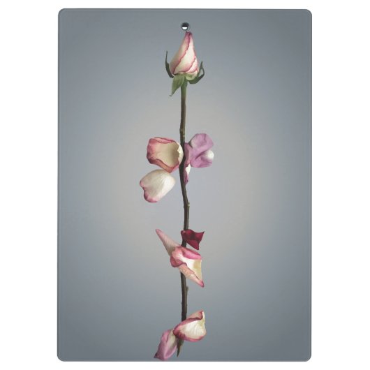 Tot het laatste blad... klembord (Achterkant)