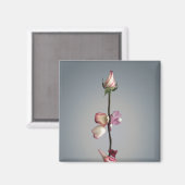 Tot het laatste blad... magneet (Voorkant / Achterkant)