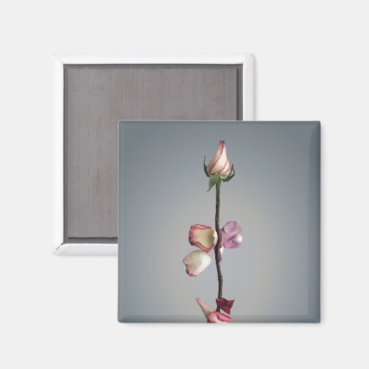 Tot het laatste blad... magneet (Voorkant / Achterkant)