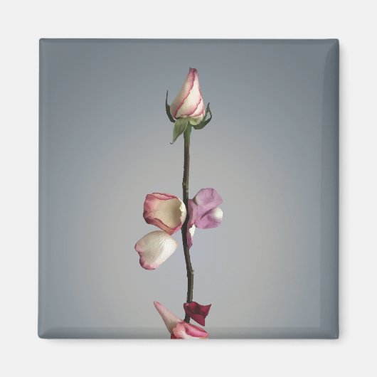 Tot het laatste blad... magneet (Voorkant)