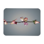 Tot het laatste blad... magneet (Horizontaal)