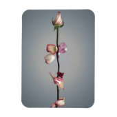 Tot het laatste blad... magneet (Verticaal)