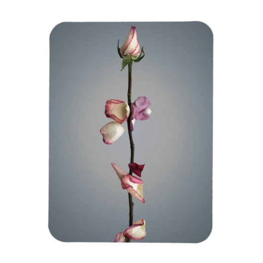 Tot het laatste blad... magneet (Verticaal)