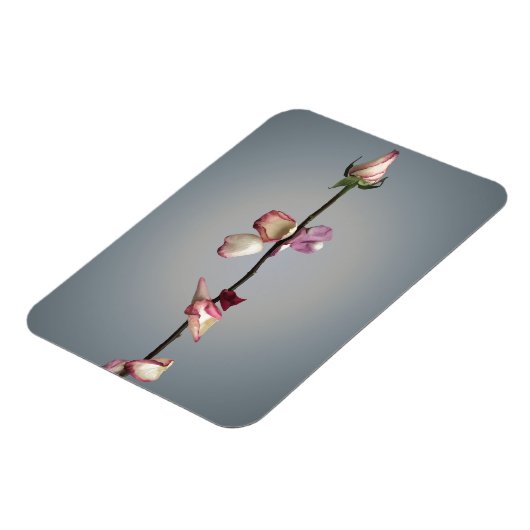 Tot het laatste blad... magneet (Linkerzijde)