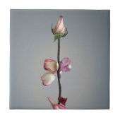 Tot het laatste blad... tegeltje (Voorkant)