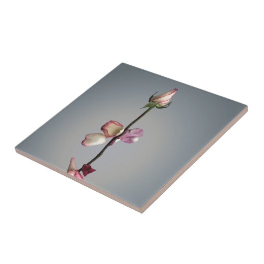 Tot het laatste blad... tegeltje (Zijkant)